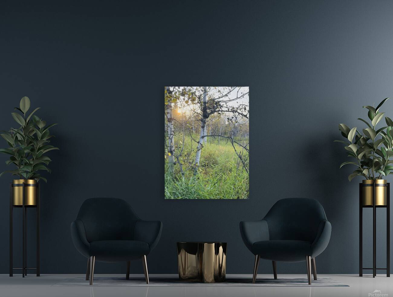 IMG 4252.sun going down in the aspens Reproduction