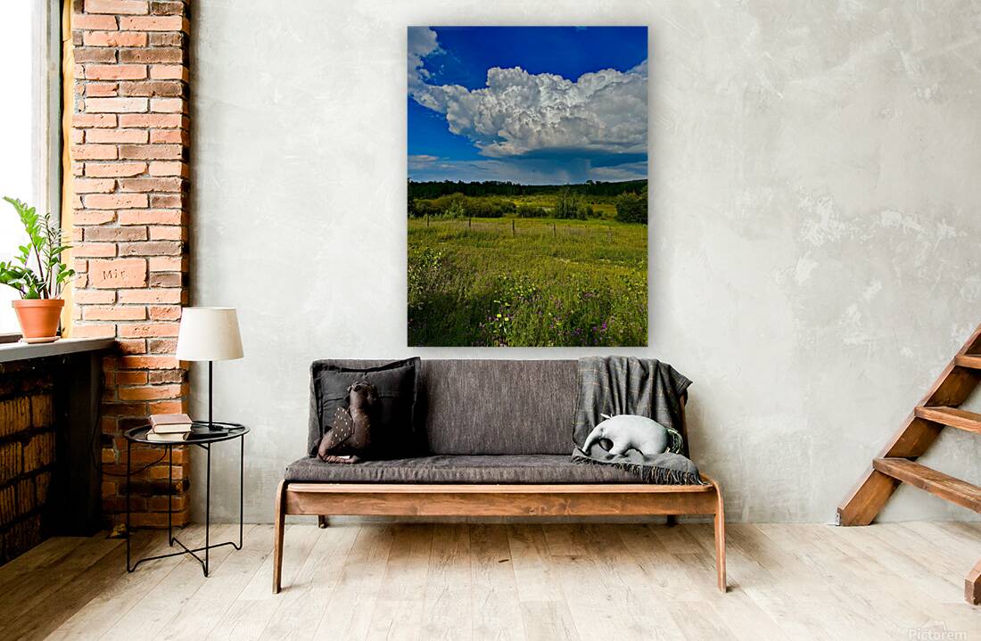 IMG 4040.blue sky and green  Reproduction