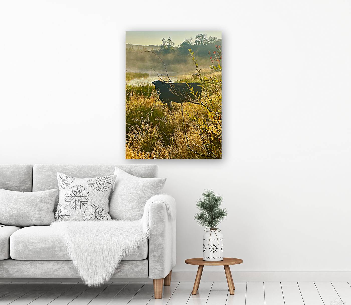 IMG 2179 Black cow Silhouette At sunrise Reproduction