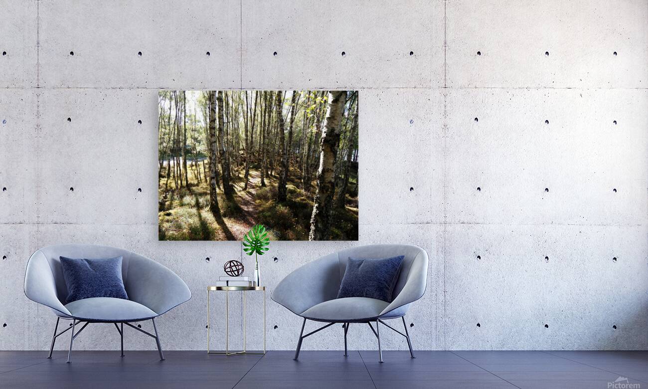 Amongst the Trees                                                                                                                   Reproduction