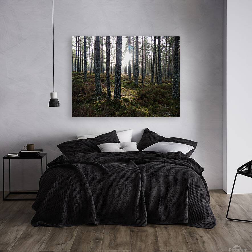 Sunlight through the Pines                                                                                                                      Reproduction