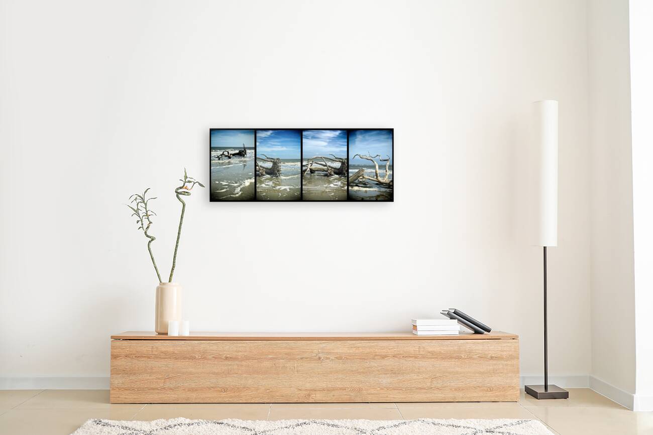 Driftwood Beach Panorama Quadtych Reproduction