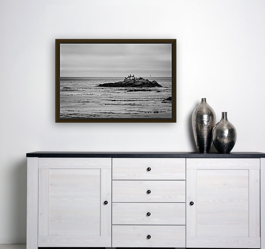 Monterey Peninsula 1399 Reproduction