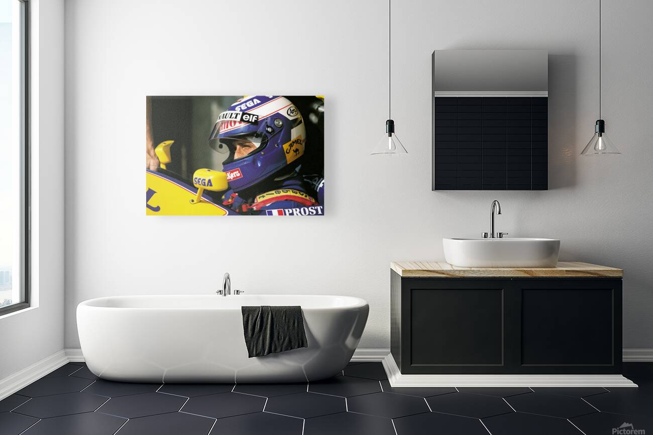 Prost F1 Driver