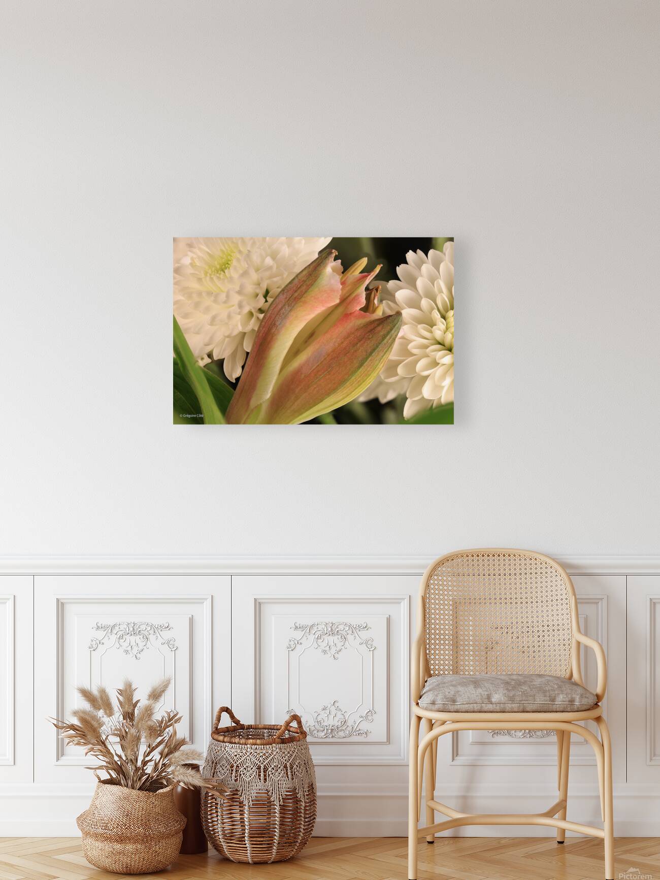 Alstroemeria