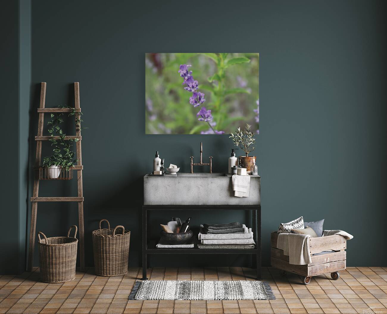 Lavendar