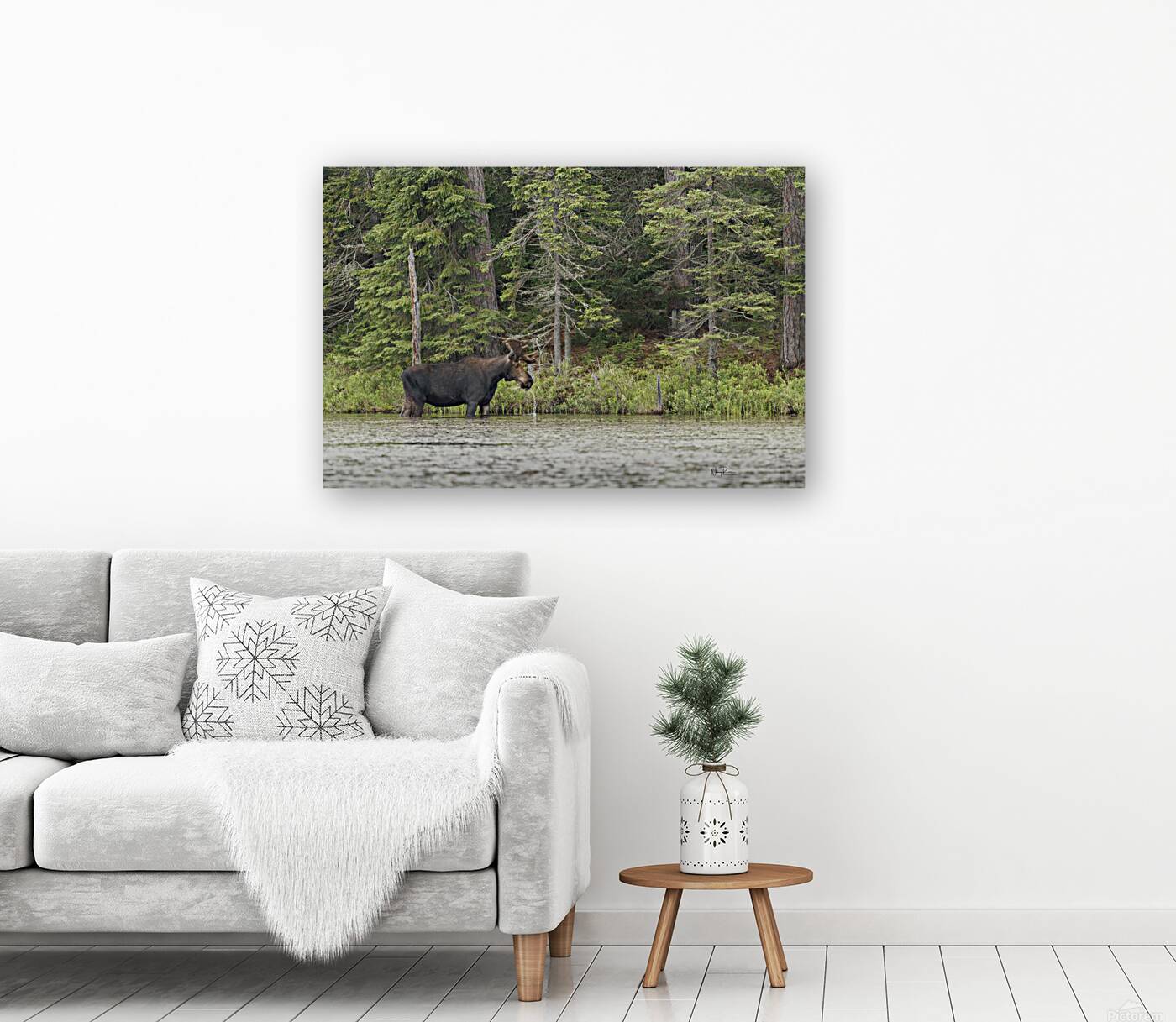 Bull Moose