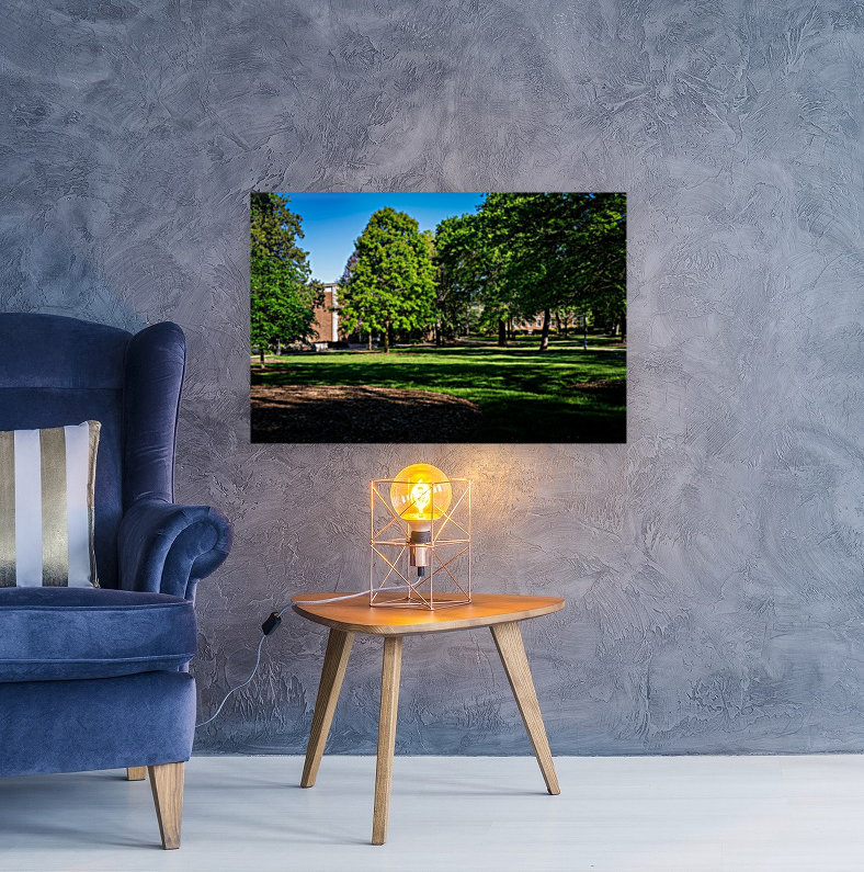 University of Georgia   Athens GA 06328 Reproduction