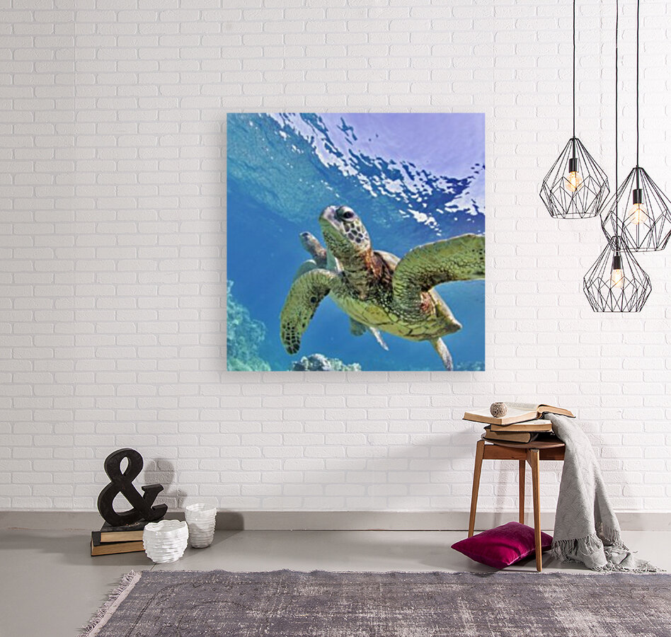 Blue world  Reproduction