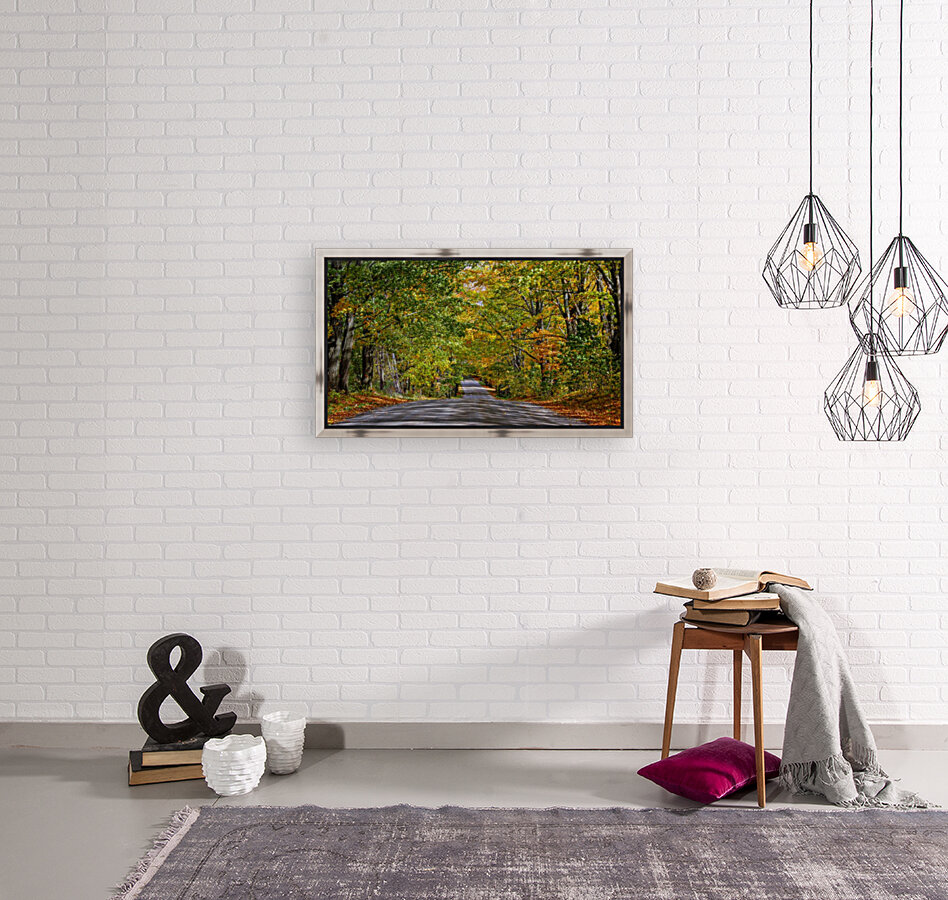 Fall Colors over a Country Road Reproduction