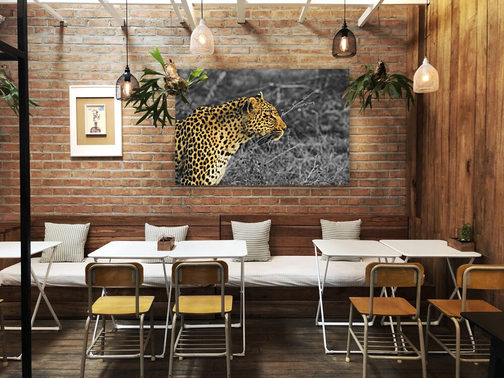 Leopard Reproduction