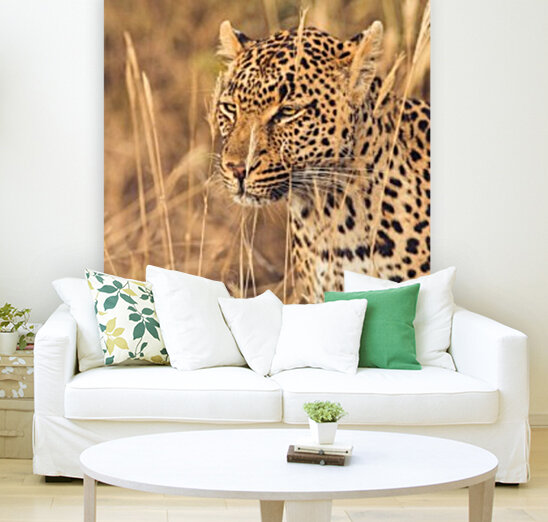 Leopard Reproduction