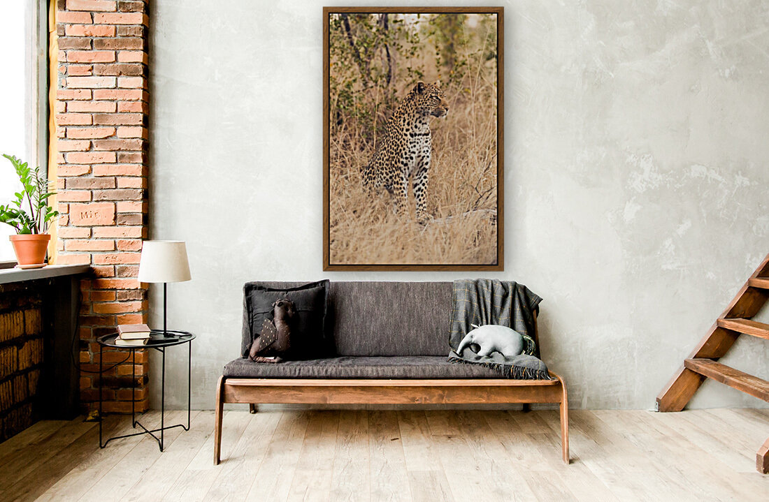 Leopard Reproduction