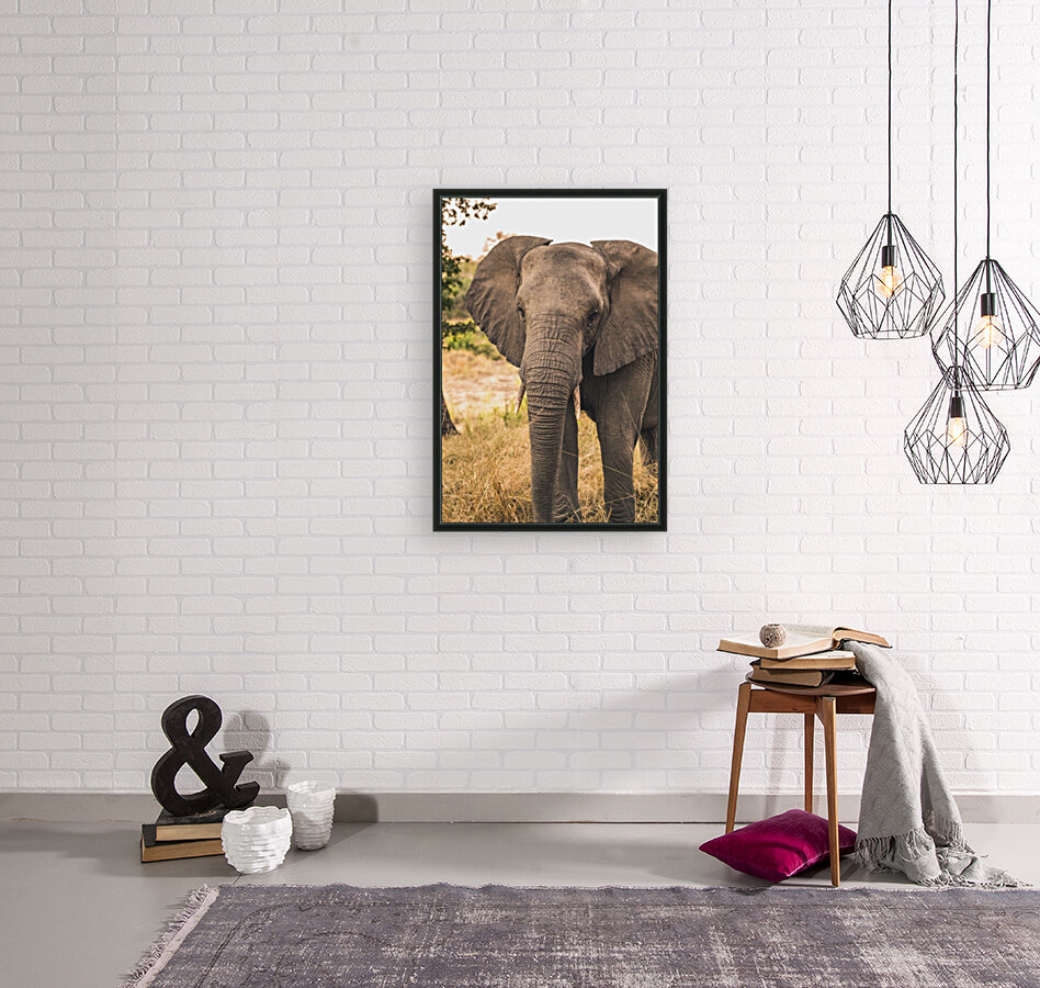 Elephant Reproduction