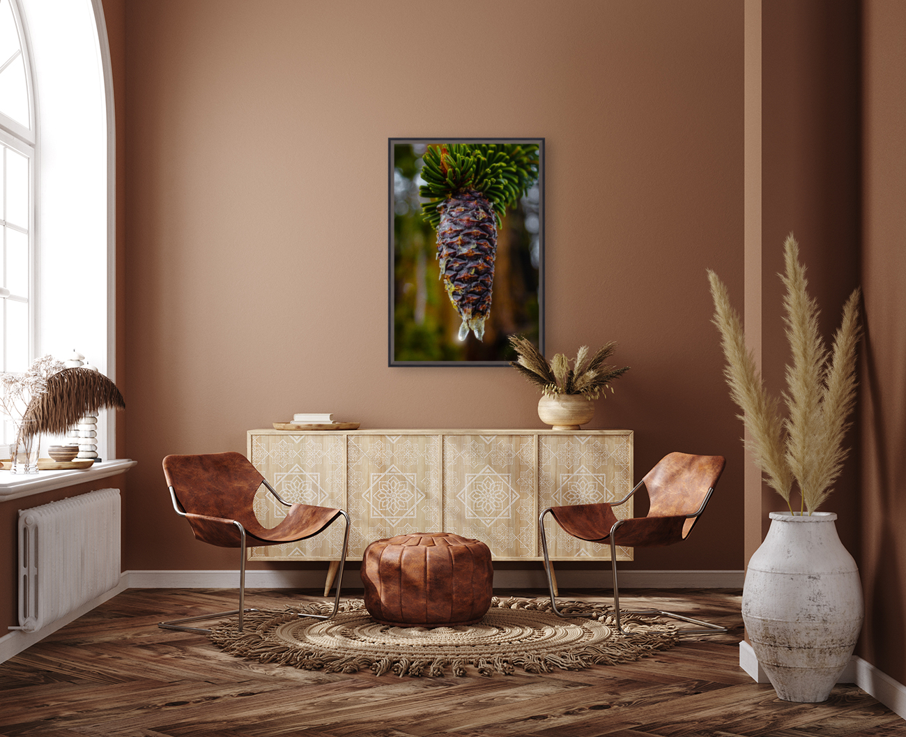 Bristlecone Pine Reproduction