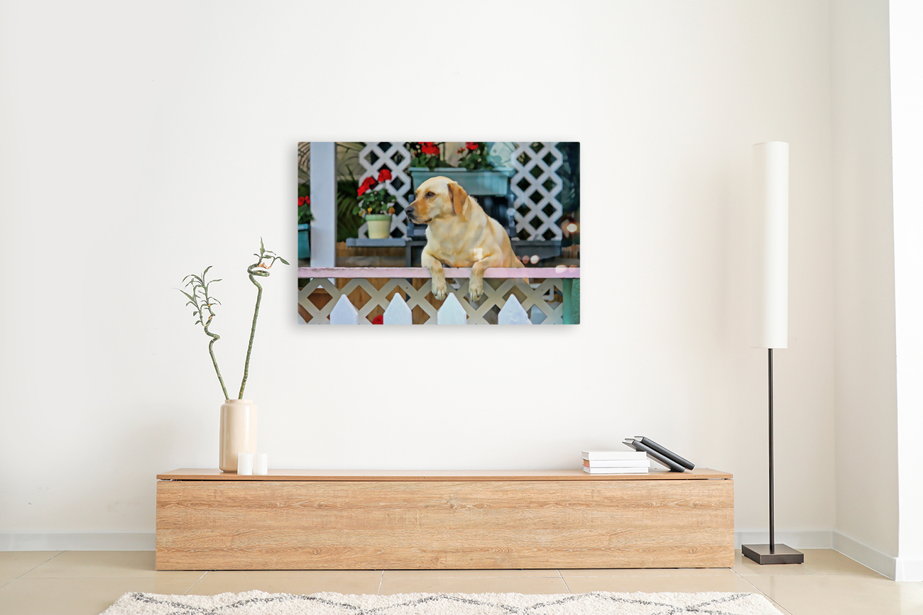 People Watching Reproduction