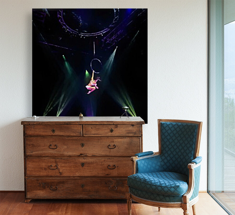 Cirque Le Noir Aerial Ring with Oil Reproduction