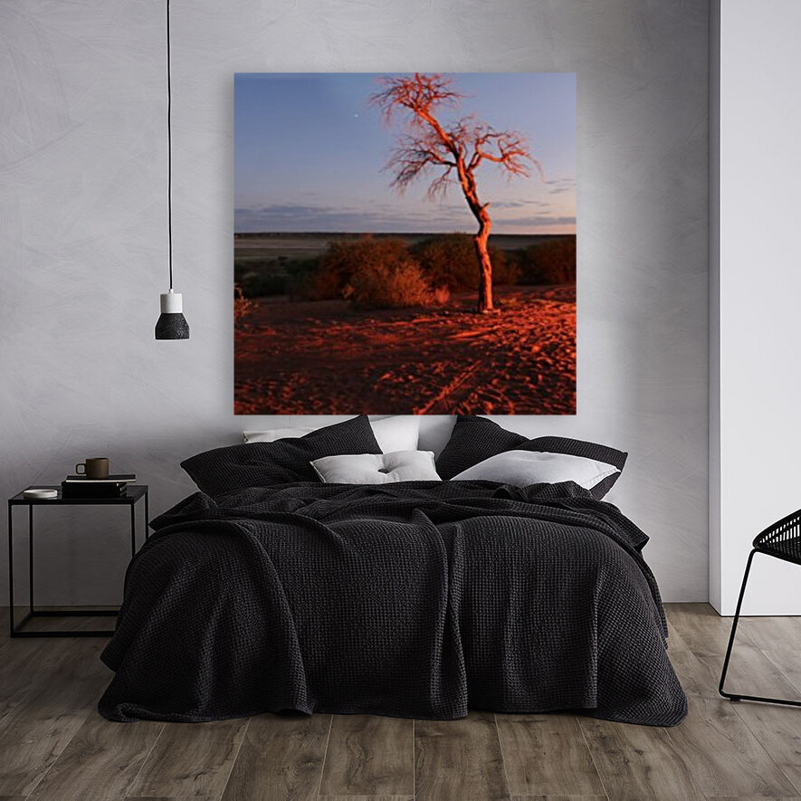 AdriaanPrinsloo 7215 Reproduction