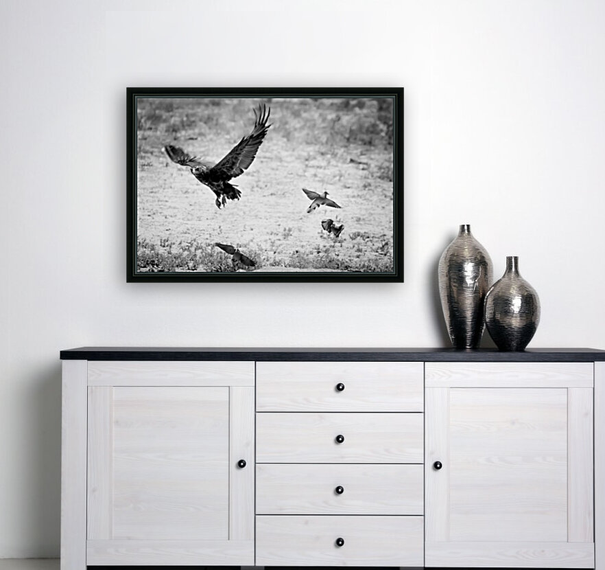 AdriaanPrinsloo 7140 Reproduction