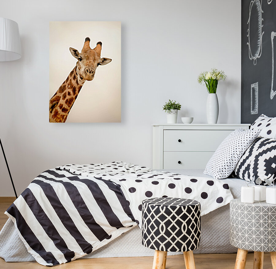 AdriaanPrinsloo 5035 Reproduction