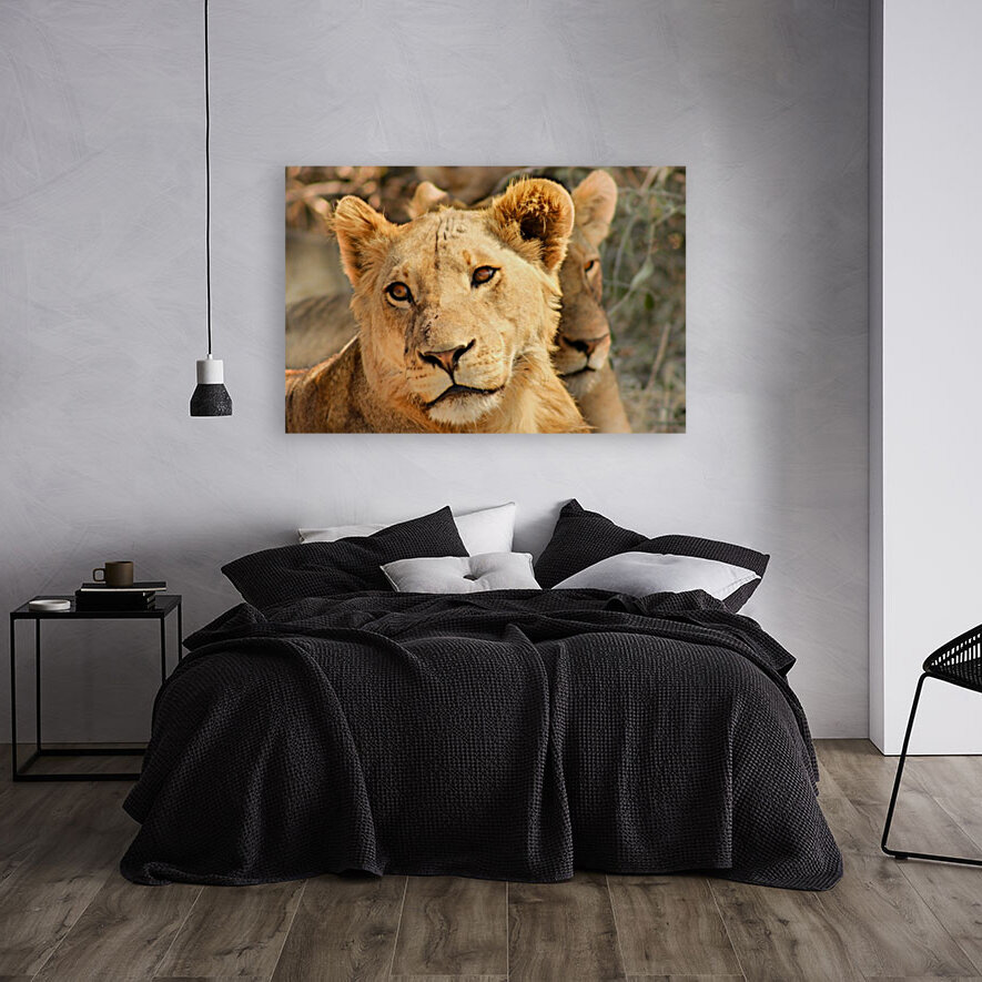 AdriaanPrinsloo 7888 Reproduction