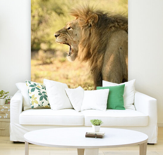 AdriaanPrinsloo 6942 Reproduction