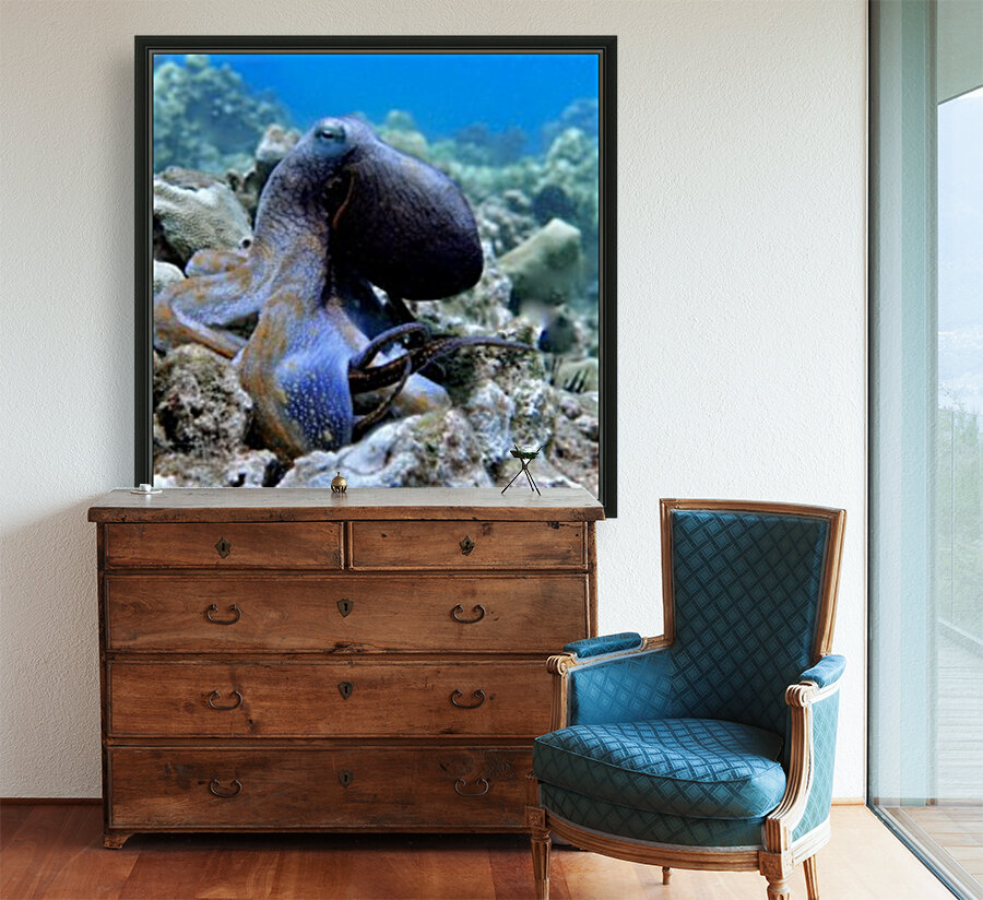 Blue Octopus Reproduction