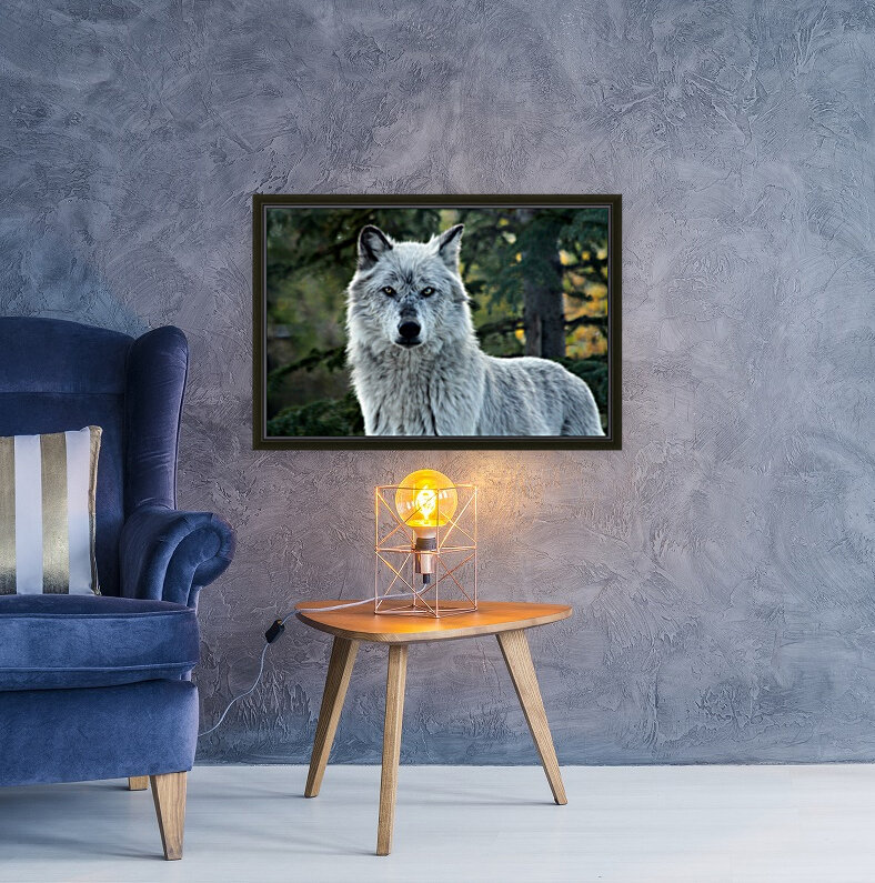 Yellowstone Wolf Reproduction