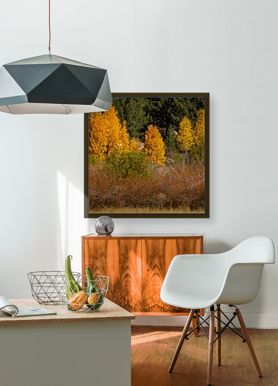 Hope Valley Aspens with Shrubs Reproduction