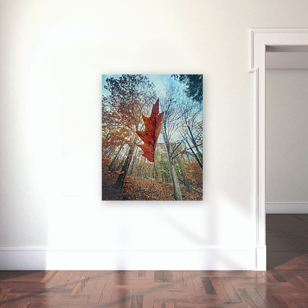 Falling Up Reproduction