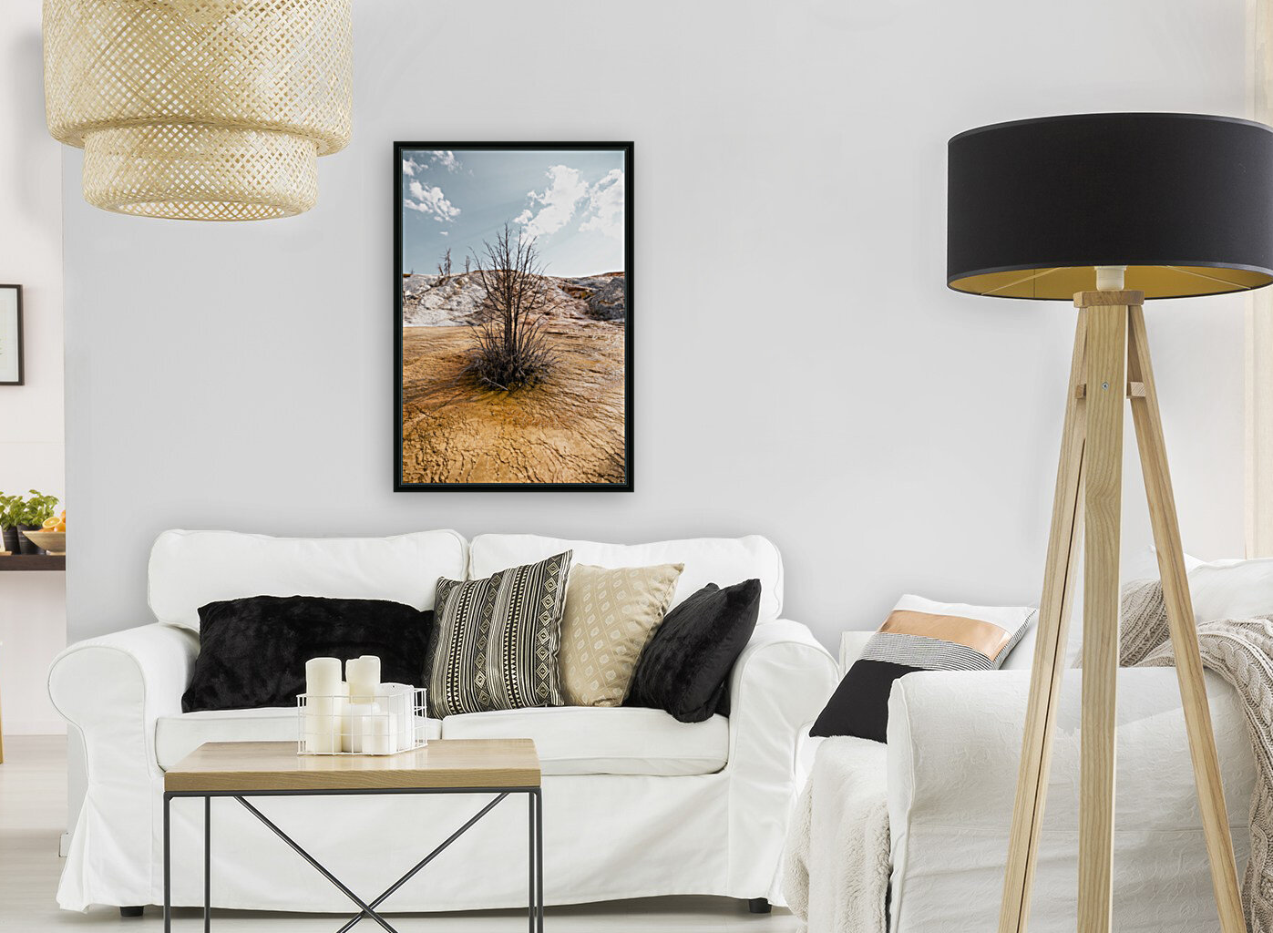 Hot springs Tree Reproduction