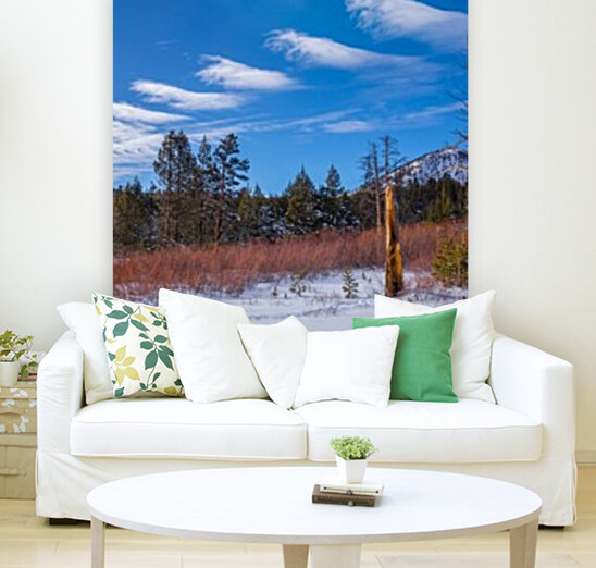 Interesting Clouds Reproduction