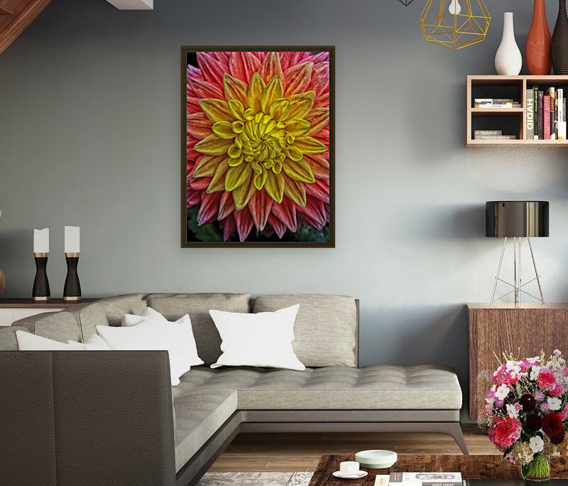 carnival Reproduction