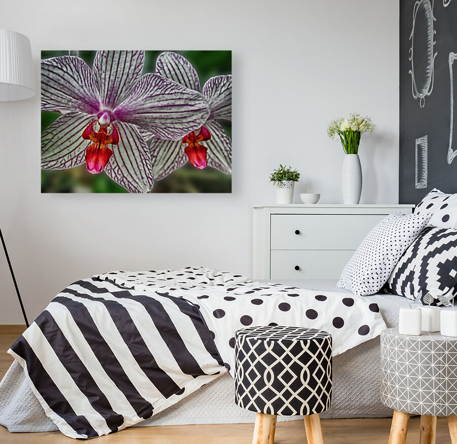 flower nine Reproduction