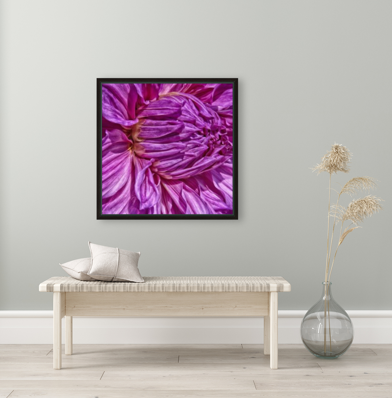 dahlia 3 Reproduction