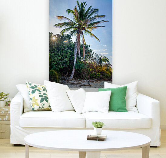 Palm Tree and Sun Star Reproduction