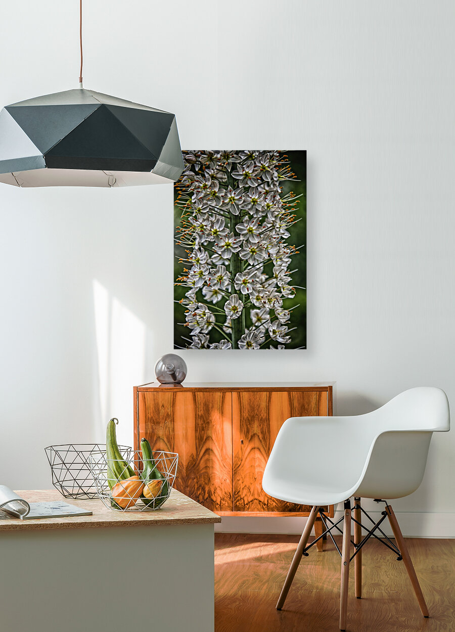 flower 15 Reproduction