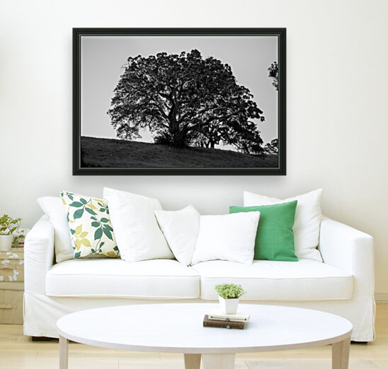 20190418 DSC 0043 2 Reproduction