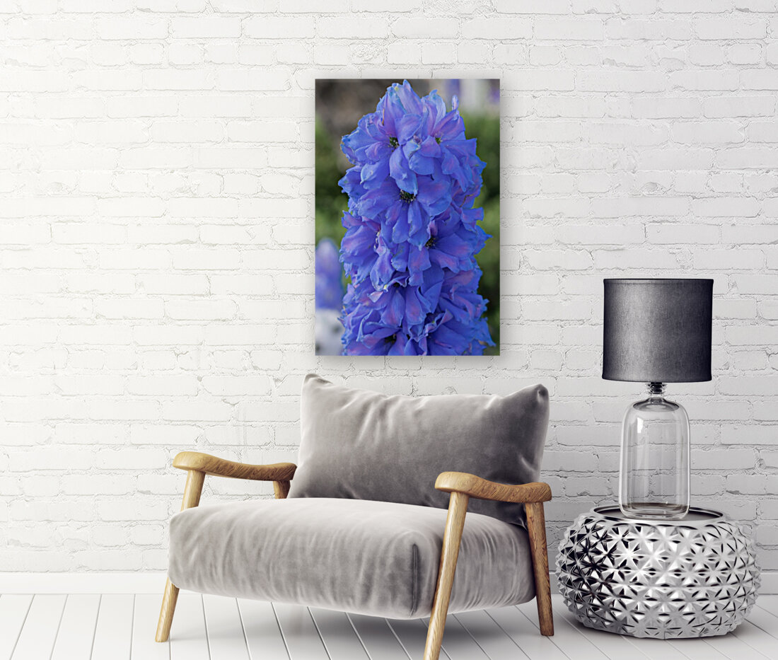 20190506 DSC 0244 Reproduction