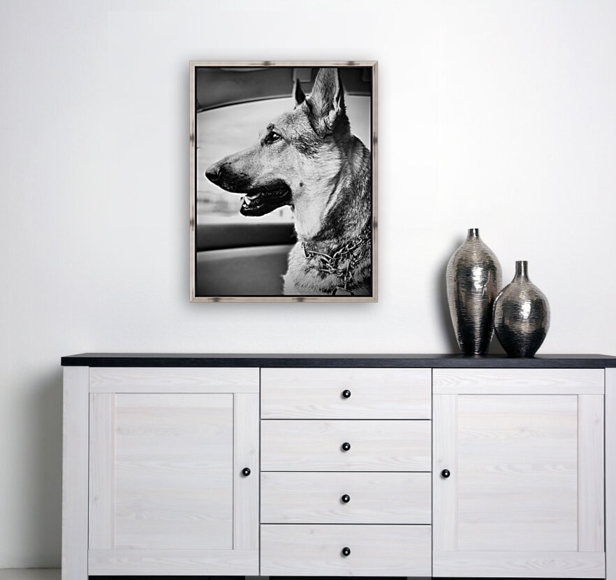 Wolf Child Reproduction