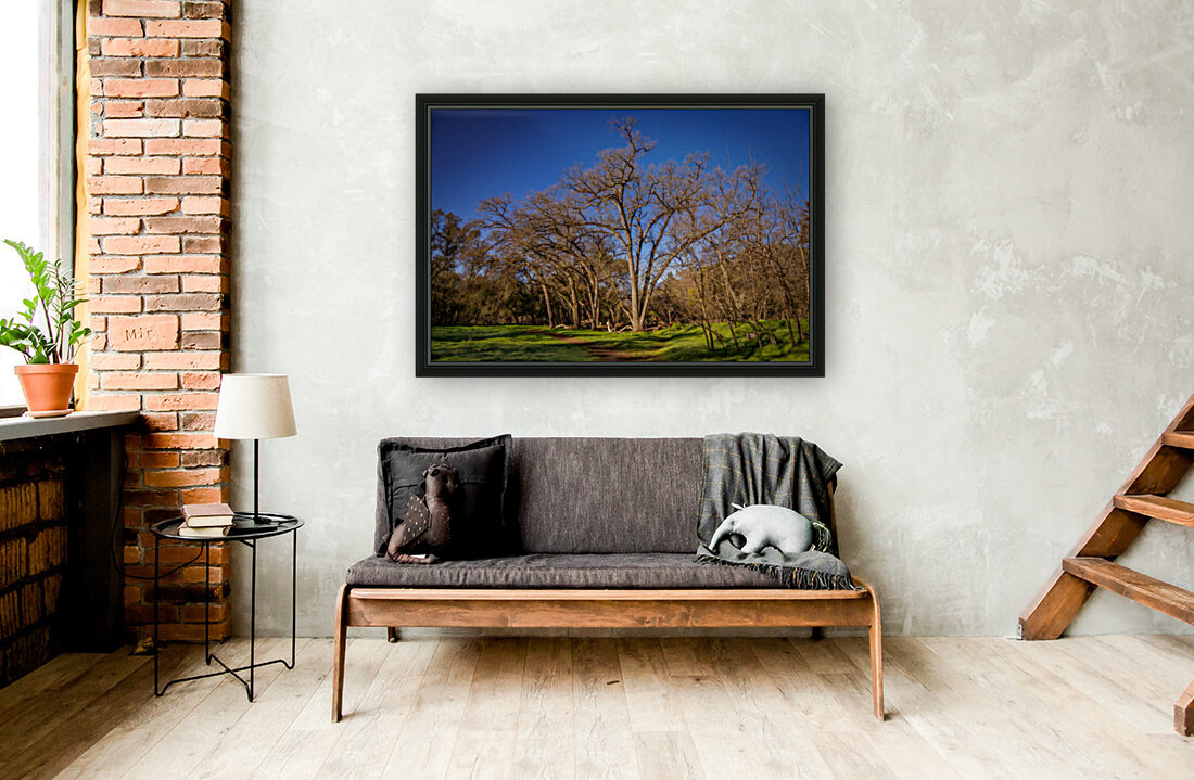 Bending Oaks Reproduction