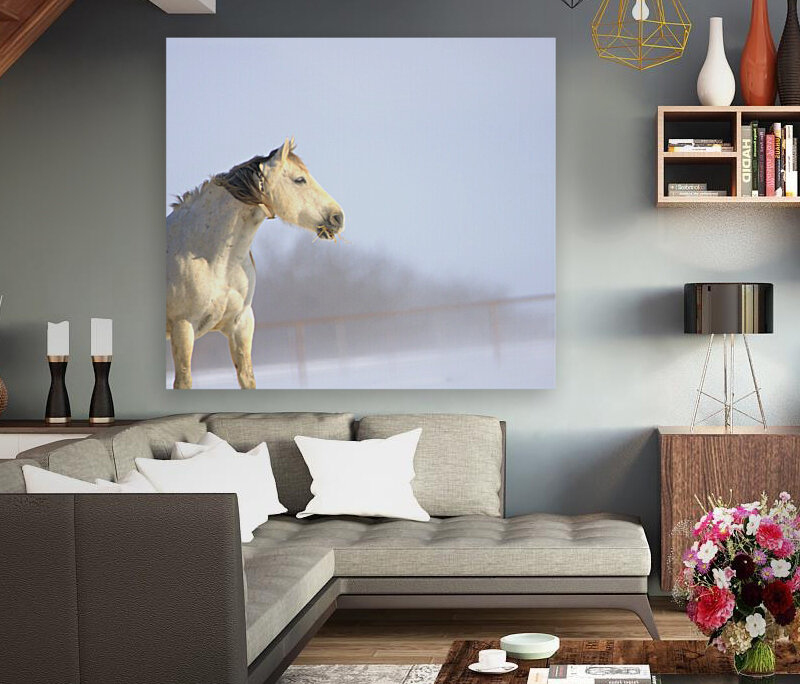 Snow White Reproduction