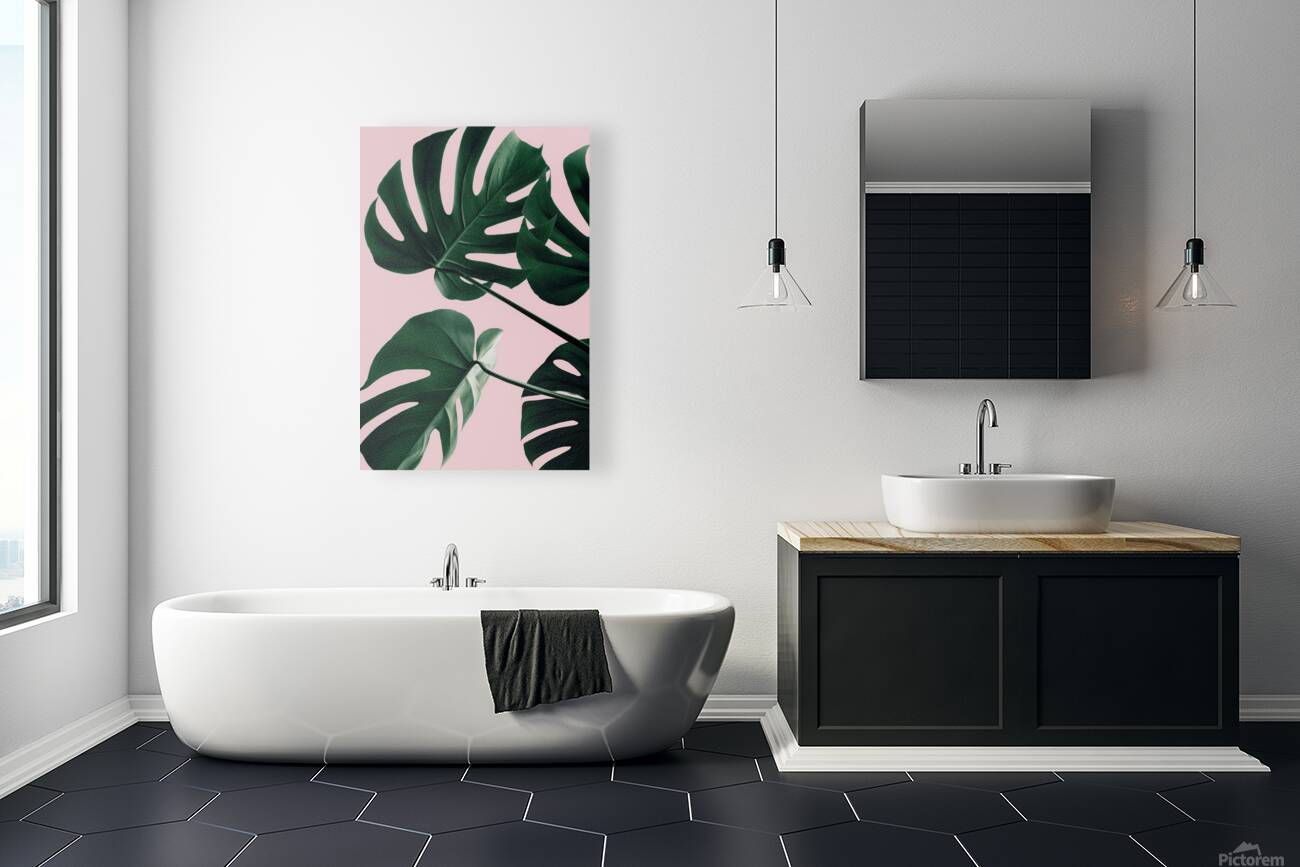 Monstera Pink No 08