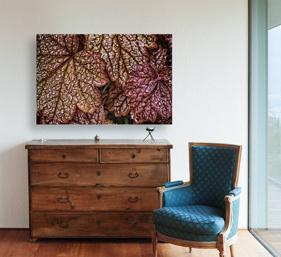 droplets Reproduction