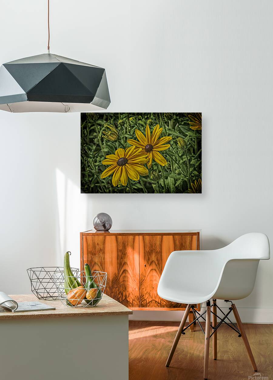 partners Reproduction