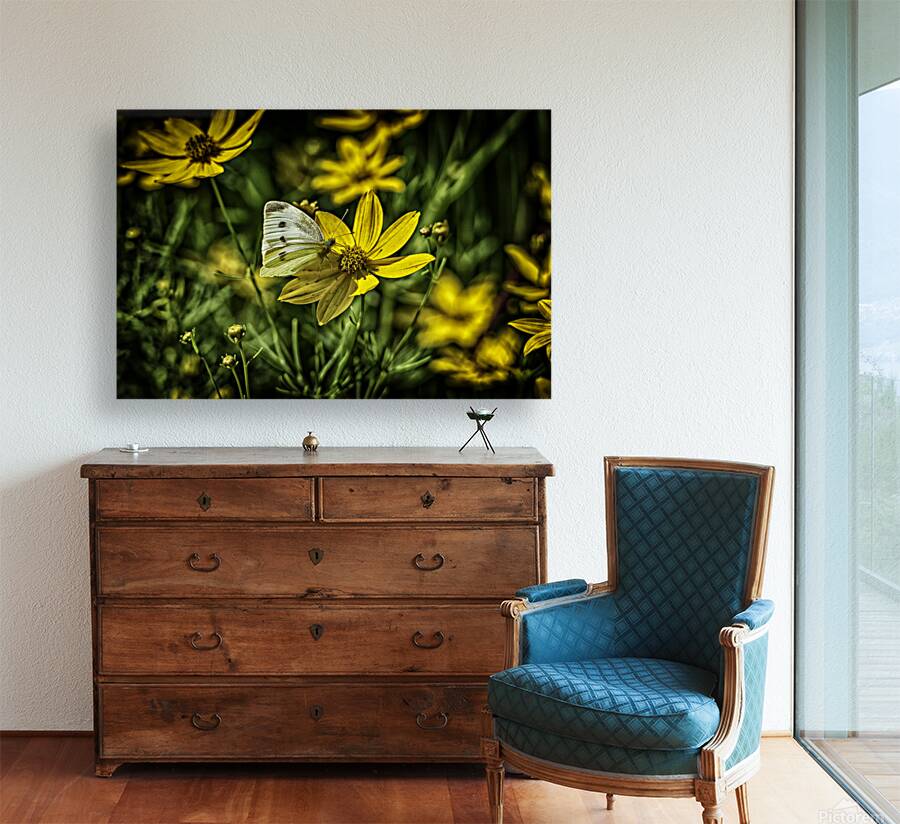 visitor Reproduction