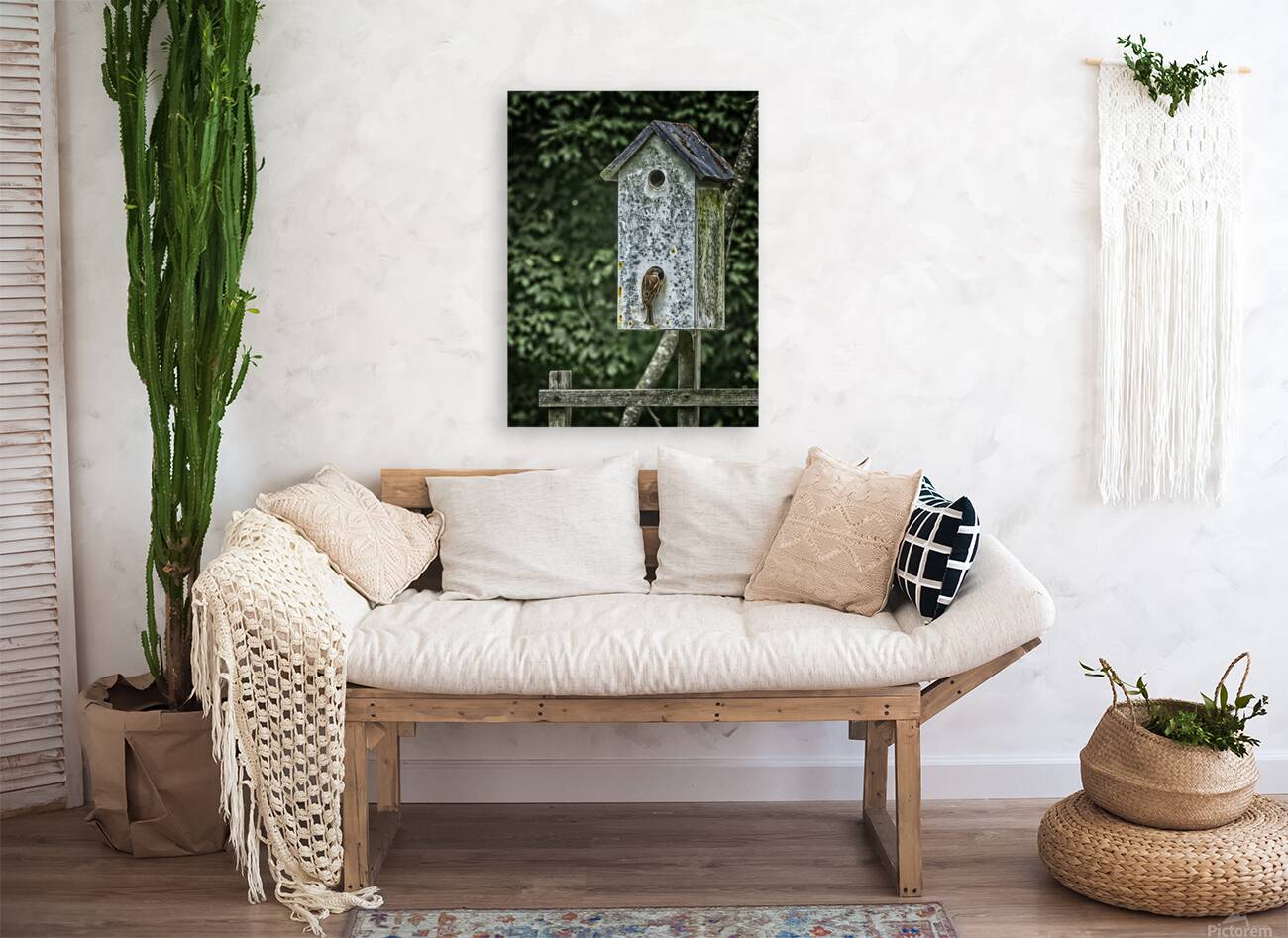 sparrow duplex Reproduction