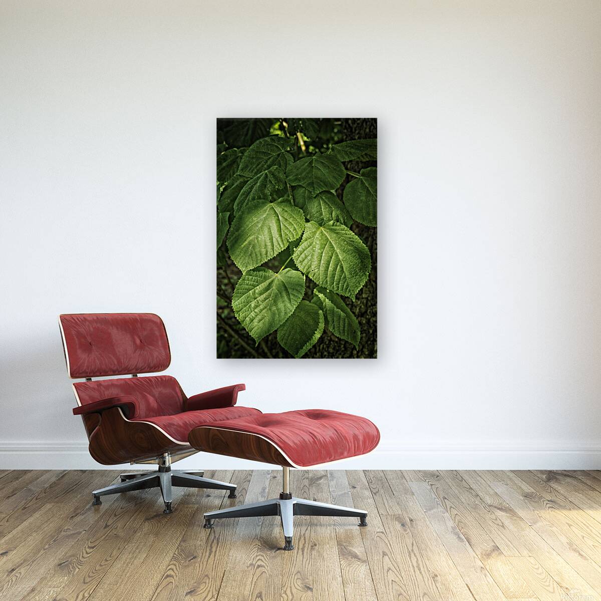 plant study Reproduction