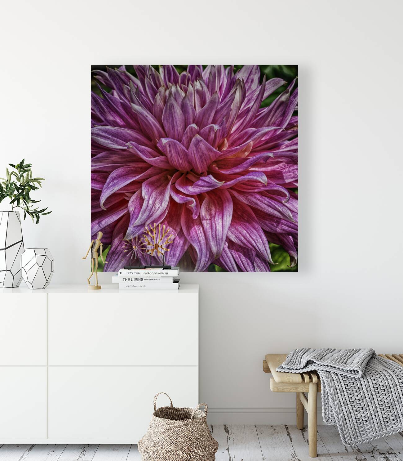 dahlia two Reproduction