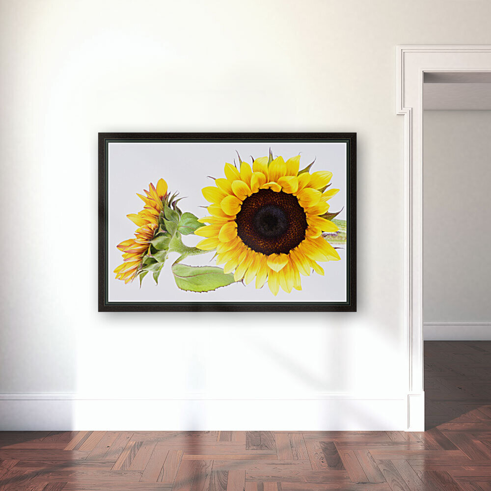 Beautifully Sunflower Reproduction